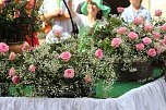 211. Brunnenfestumzug in Bad Langensalza mit vielen fr&ouml;hlichen Akteuren (Foto: Eva Maria Wiegand)