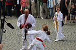 Teilnehmerinnen und Teilnehmer des Festumzuges zum 211. Brunnenfest in Bad Langensalza  (Foto: Eva Maria Wiegand)