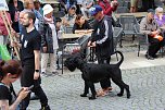 Teilnehmerinnen und Teilnehmer des Festumzuges zum 211. Brunnenfest in Bad Langensalza  (Foto: Eva Maria Wiegand)