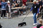 Teilnehmerinnen und Teilnehmer des Festumzuges zum 211. Brunnenfest in Bad Langensalza  (Foto: Eva Maria Wiegand)