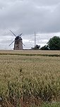 Impressionen vom Wegesrand (Foto: R&uuml;diger Neitzke)