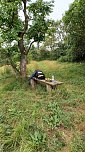 Impressionen vom Wegesrand (Foto: R&uuml;diger Neitzke)