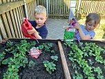 Am neuen Hochbeet k&ouml;nnen auch kleine G&auml;rtner gut arbeiten (Foto: Kindergarten Tierh&auml;uschen)