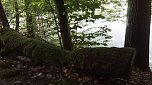 Bei Steinsee unterwegs (Foto: Kurt Frank)