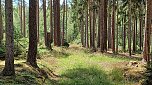 R&uuml;diger Neitzke erkundet das sch&ouml;ne Th&uuml;ringen (Foto: R.Neitzke)