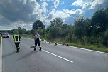Schwanenfamilie erkundet ihre Umwelt (Foto: Feuerwehr Oldisleben/Sachsenburg)