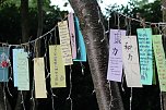 TANABATA im Japanischen Garten in Bad Langensalza (Foto: Eva Maria Wiegand)