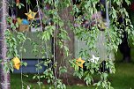 TANABATA im Japanischen Garten in Bad Langensalza (Foto: Eva Maria Wiegand)