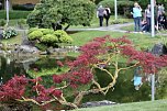 TANABATA im Japanischen Garten in Bad Langensalza (Foto: Eva Maria Wiegand)