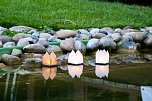 TANABATA im Japanischen Garten in Bad Langensalza (Foto: Eva Maria Wiegand)