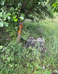 Schwerer Quad-Unfall in Niedersachswerfen (Foto: Feuerwehr:S.Dietzel)