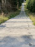 Sommerwanderung zum Brocken (Foto: Wolfgang Lehmann)