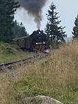 Sommerwanderung zum Brocken (Foto: Wolfgang Lehmann)