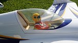 24. Flugtag des S&uuml;dharzer Modellflugvereins (Foto: nnz)