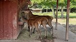Ein Tag in der Natur (Foto: Dorothea Kieper)
