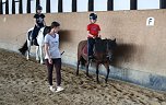 Reit-und Therapiehof Sittendorf  (Foto: U. Reinboth )