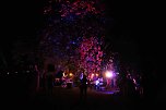Lichterfest auf dem Petersberg (Foto: Peter Blei)