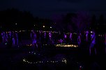 Impressionen vom Nordh&auml;user Lichterfest (Foto: agl)