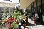 Bibliotheksfest in Nordhausen (Foto: agl)
