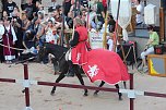 Hochprofessionelle Reitershow mit "Wenzel Ritterspiele" (Foto: Eva Maria Wiegand)