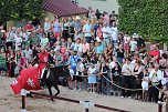 Hochprofessionelle Reitershow mit "Wenzel Ritterspiele" (Foto: Eva Maria Wiegand)