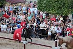 Hochprofessionelle Reitershow mit "Wenzel Ritterspiele" (Foto: Eva Maria Wiegand)