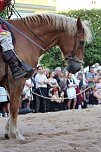 Hochprofessionelle Reitershow mit "Wenzel Ritterspiele" (Foto: Eva Maria Wiegand)