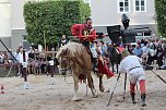 Hochprofessionelle Reitershow mit "Wenzel Ritterspiele" (Foto: Eva Maria Wiegand)