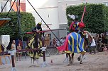 Hochprofessionelle Reitershow mit "Wenzel Ritterspiele" (Foto: Eva Maria Wiegand)