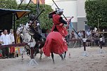 Hochprofessionelle Reitershow mit "Wenzel Ritterspiele" (Foto: Eva Maria Wiegand)
