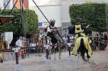 Hochprofessionelle Reitershow mit "Wenzel Ritterspiele" (Foto: Eva Maria Wiegand)