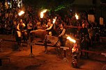 Hochprofessionelle Reitershow mit "Wenzel Ritterspiele" (Foto: Eva Maria Wiegand)