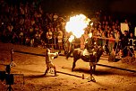 Hochprofessionelle Reitershow mit "Wenzel Ritterspiele" (Foto: Eva Maria Wiegand)