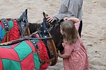 Zwei Tage lang feierten die Langensalzaer mit ihren G&auml;sten aus nah und fern ihr 30. Mittelalterstadtfest (Foto: Eva Maria Wiegand)