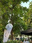 Sommernachtstraum in Kehmstedt (Foto: Bianca Juch)