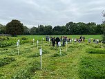 Sensenmeisterschaft in Kehmstedt (Foto: Andreas Liesegang)