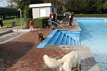 Hundebaden im Salzaquellbad (Foto: agl) Hundebaden im Salzaquellbad (Foto: agl)