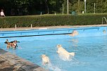 Hundebaden im Salzaquellbad (Foto: agl) Hundebaden im Salzaquellbad (Foto: agl)
