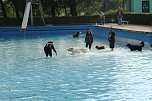 Hundebaden im Salzaquellbad (Foto: agl) Hundebaden im Salzaquellbad (Foto: agl)