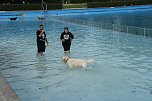 Hundebaden im Salzaquellbad (Foto: agl) Hundebaden im Salzaquellbad (Foto: agl)