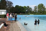 Hundebaden im Salzaquellbad (Foto: agl) Hundebaden im Salzaquellbad (Foto: agl)