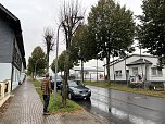 50 B&auml;ume m&uuml;ssen in Leinefelde und Worbis bis Ende Februar fallen (Foto: Stadt Leinefelde-Worbis)