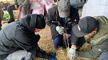 Vorbereitungen zum Kirmesjubil&auml;um (Foto: B.Hellrung)