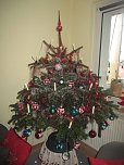 Ein Baum f&uuml;r alle Jahreszeiten (Foto: Bernd Thielbeer)