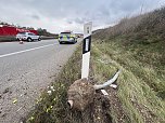 Unfall auf der A 38 (Foto: S.Dietzel) Unfall auf der A 38 (Foto: S.Dietzel)