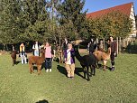 Studierende der Hochschule Nordhausen erleben die beruhigende Wirkung einer Alpaka-Wanderung auf der Alpaka-Farm Munkelt in Hohenm&ouml;lsen (Foto: Sandra Meusel)