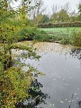 Aufgestautes Wasser in der Salza. (Foto: J.T.)