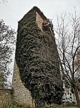 Befreiungsarbeiten am Pulverturm im Arboretum (Foto: Stadtverwaltung Bad Langensalza) Befreiungsarbeiten am Pulverturm im Arboretum (Foto: Stadtverwaltung Bad Langensalza)