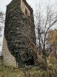 Befreiungsarbeiten am Pulverturm im Arboretum (Foto: Stadtverwaltung Bad Langensalza) Befreiungsarbeiten am Pulverturm im Arboretum (Foto: Stadtverwaltung Bad Langensalza)