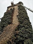 Befreiungsarbeiten am Pulverturm im Arboretum (Foto: Stadtverwaltung Bad Langensalza) Befreiungsarbeiten am Pulverturm im Arboretum (Foto: Stadtverwaltung Bad Langensalza)